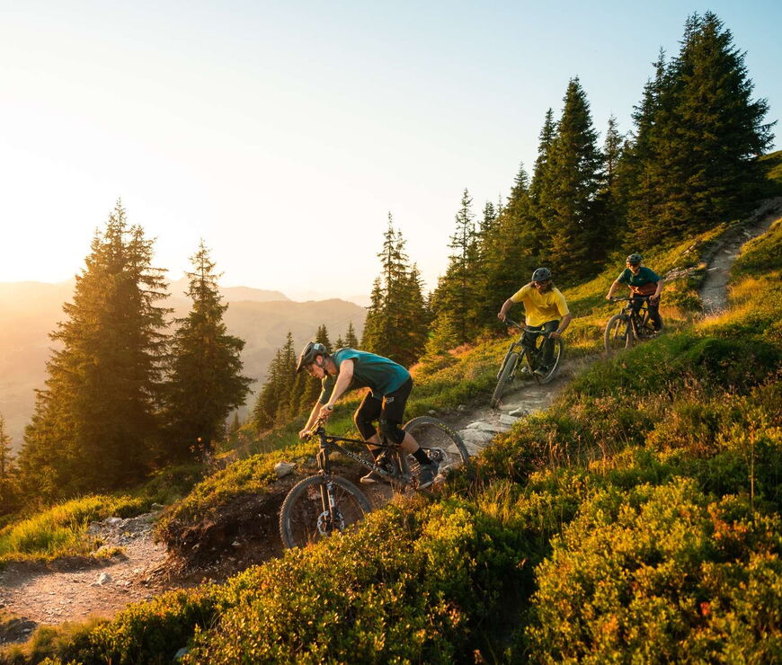 Avenida Mountain Lodges Saalbach Biking Avenida Mountain Lodges Saalbach Biking